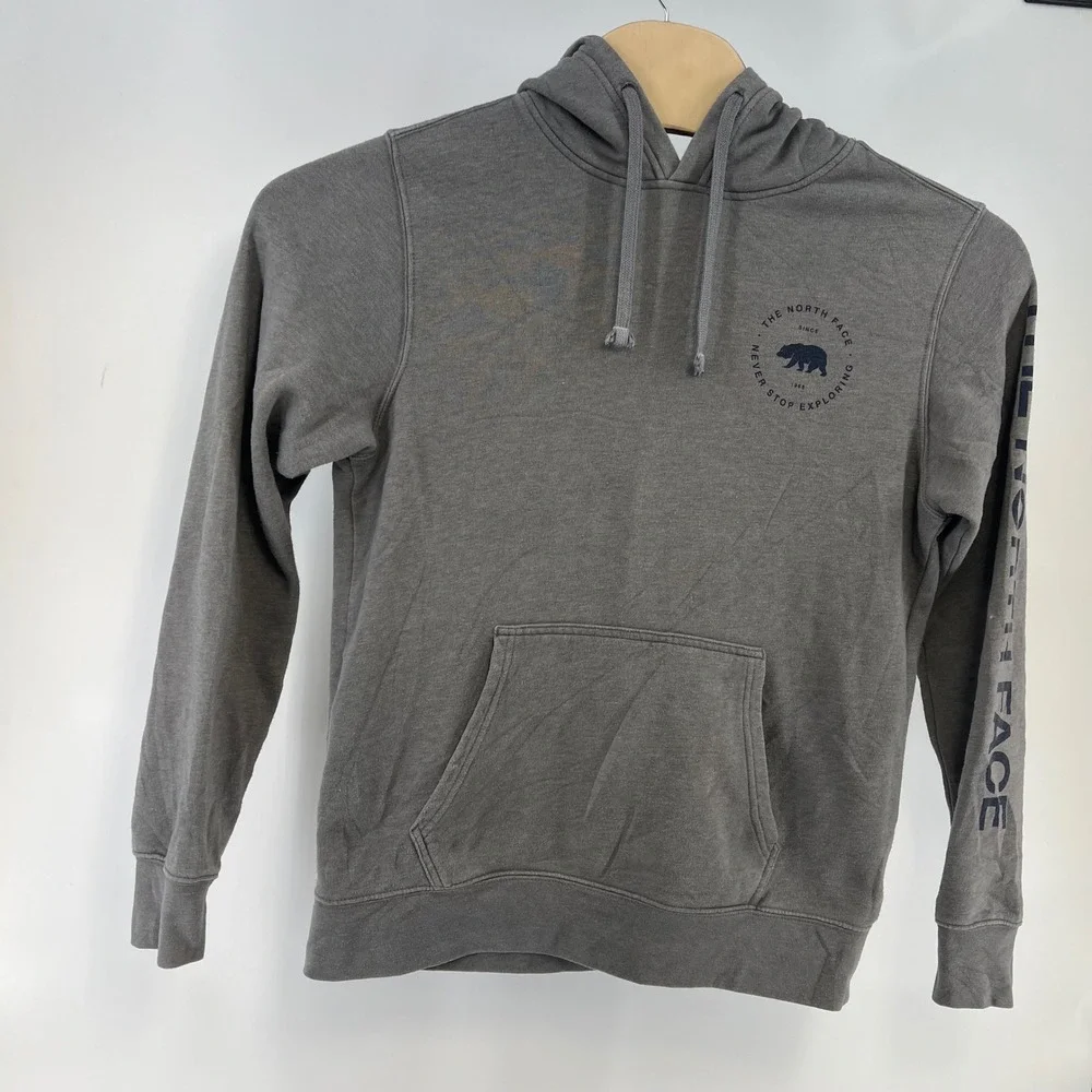 The North Face Mens Gray Bear Graphic Sleeve Logo Pullover Hoodie Small